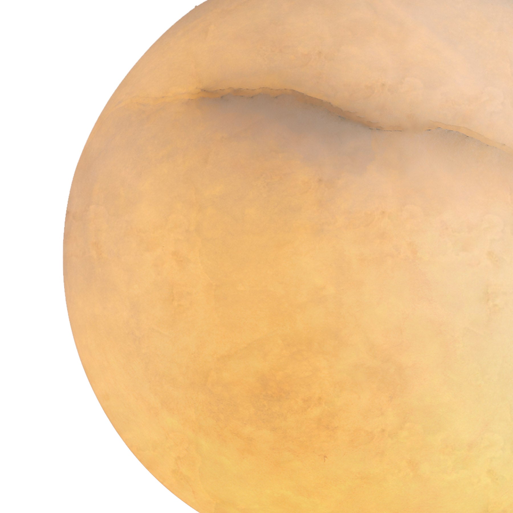 Close-up of a peach on a white background